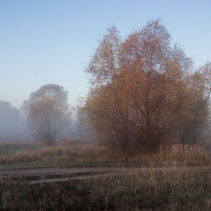 Морозное утро осени